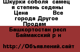 Шкурки соболя (самец) 1-я степень седены › Цена ­ 12 000 - Все города Другое » Продам   . Башкортостан респ.,Баймакский р-н